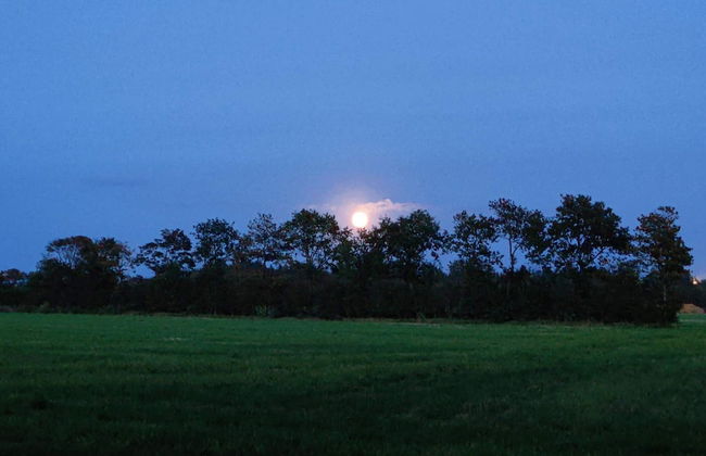 4 Star Holiday Home in Ansager - Photo 23