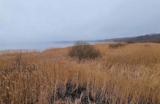 7 Person Holiday Home in Ebeltoft - Foto 25