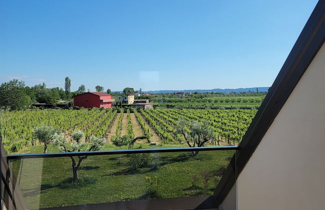 Lahuta e Vjetër Agroturizëm - Foto 49