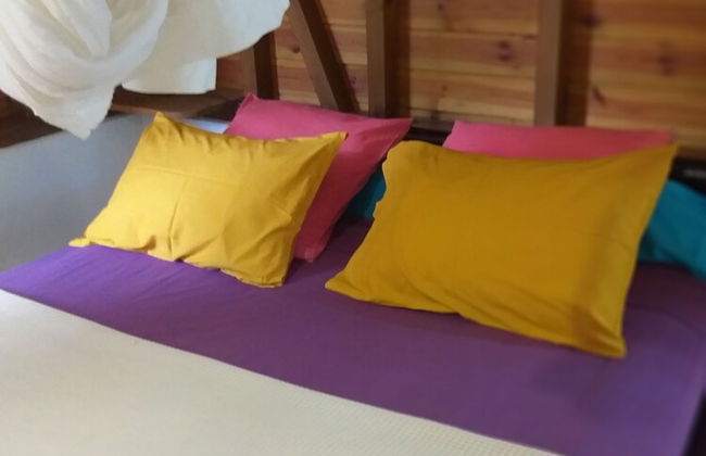 Gite Bois-Cannelle - Foto 8