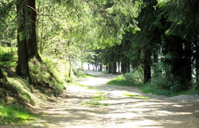 Boutique Chalet in Bullingen Near Lake - Foto 52