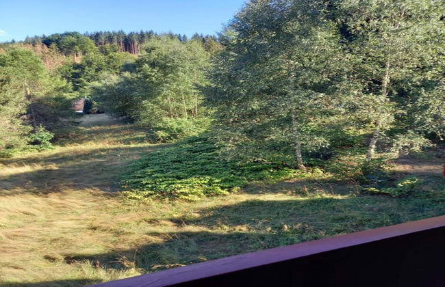 Cozy Apartment Near Trails - Foto 35