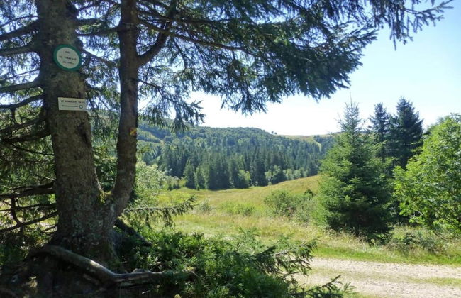 Chalet in La Bresse With Valley Views - Foto 29