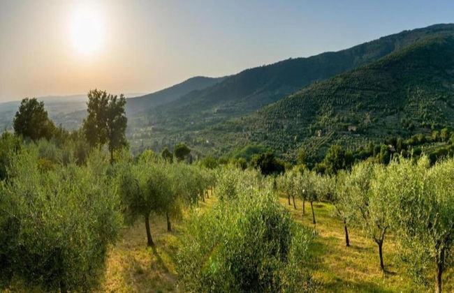 Farmhouse in Tuscany With Pool and Hill Views - Foto 28