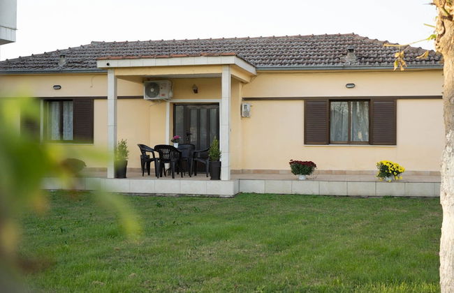 Garden Paradise in Megalochori Trikala - Foto 18
