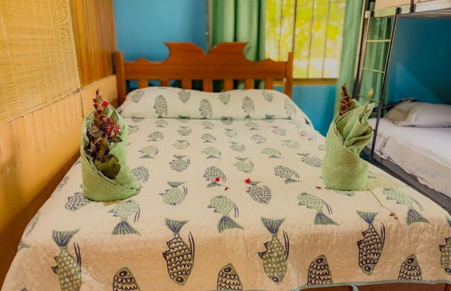 Pura Natura Lodge - Foto 57
