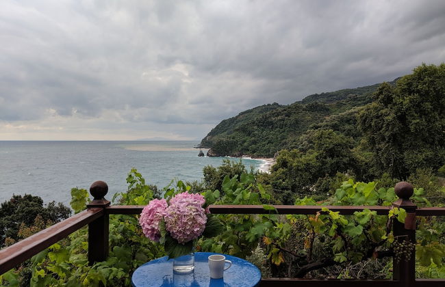 Daria's home at Pelion - Photo 26