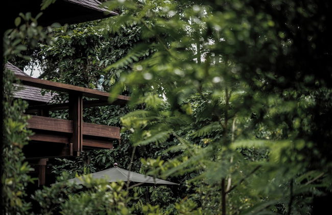 Janjisurga by Ekosistem - Foto 4