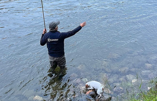 10 Person Holiday Home in Moen-by Traum - Foto 6