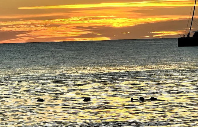 4 Guests - Stunning View - Pool - South Finger - Foto 11