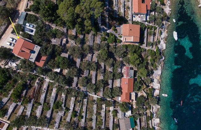 Olive's Garden House - Three Bedroom Holiday Home With Terrace and Sea View - Foto 29