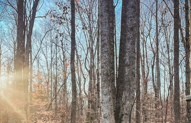 DWELL477 - Foto 14