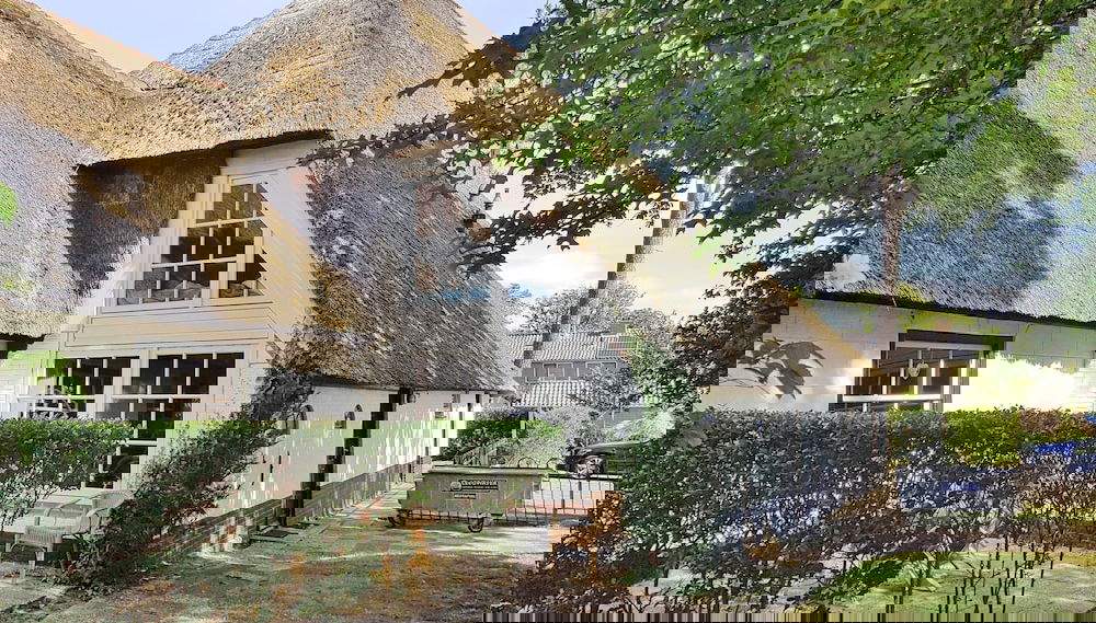 Imagem principal