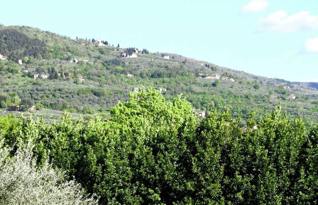 Pleasant Holiday Home in Reggello With Pool - Foto 53