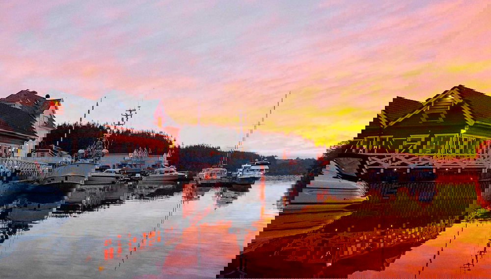 Image principale