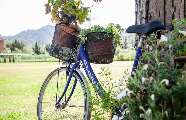 Villa With Garden Near Versilia Beach - Foto 29