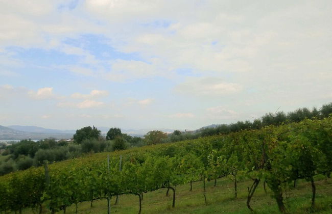 Holiday Home in Pietrafitta Near Lake Trasimeno - Foto 36