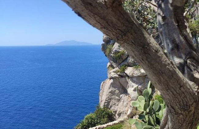 Casa Orrico - Blue Grotto - Camera Sea View Max 2 Pax - Foto 4