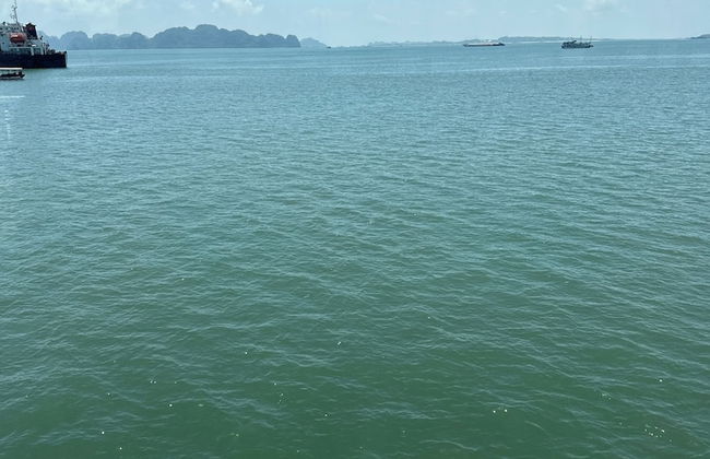 halong marina bay cruise - Foto 21