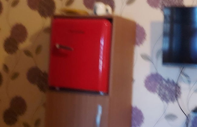 Phoenix Lodge - Foto 17