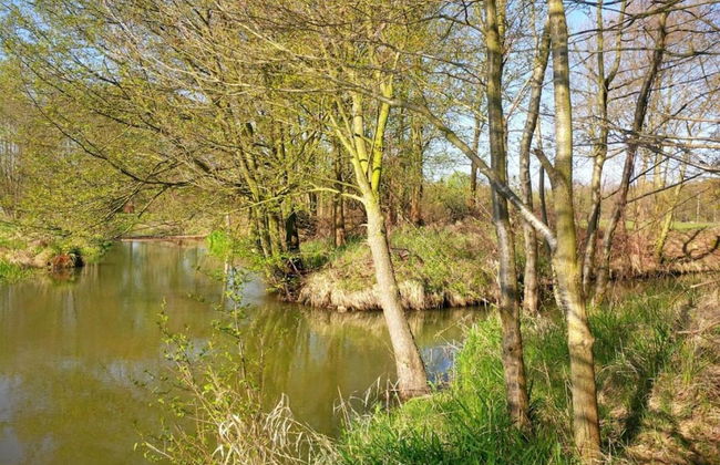 Waldblick Forest Retreat - Foto 27