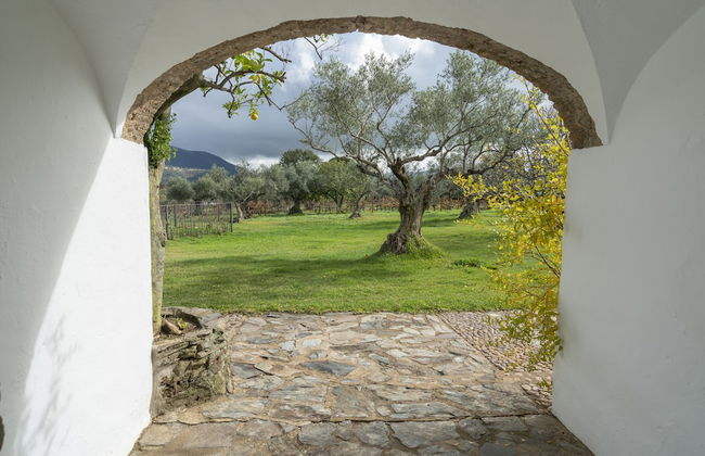 Finca El Azahar - Foto 39