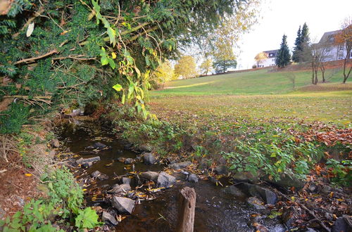 Photo 38 - Spacious Group Home near Winterberg & Willingen with Private Garden