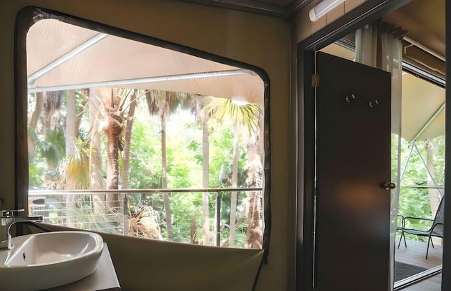 Tiona Palms Holiday Park - Foto 53