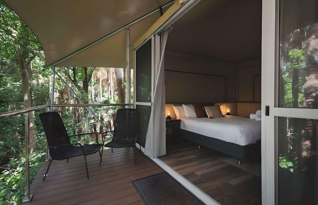 Tiona Palms Holiday Park - Foto 49