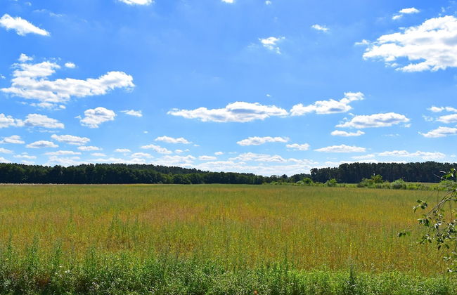 Ferienwohnung am Oase am Vilzsee - Foto 38