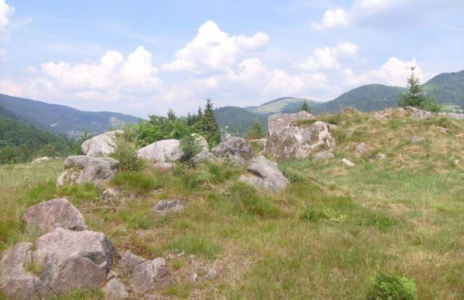 Nice Chalet With Dishwasher, in the High Vosges - Foto 56