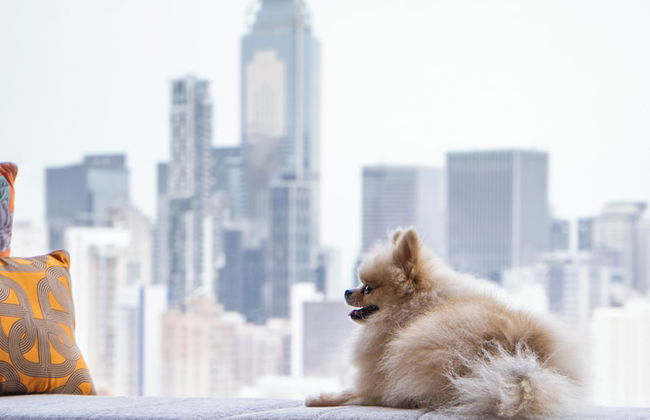 APTO Hotel HV (Causeway Bay) - Foto 2