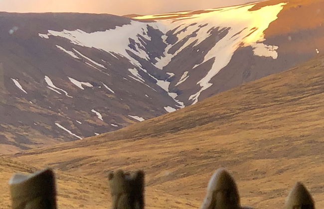 Kolsstaðir - Piece Of Heaven - Foto 21