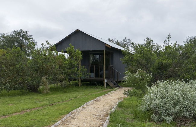 Sleep Whiskers Away From the Lions and " Feel " Them Roar! Cabin 3 - Foto 11