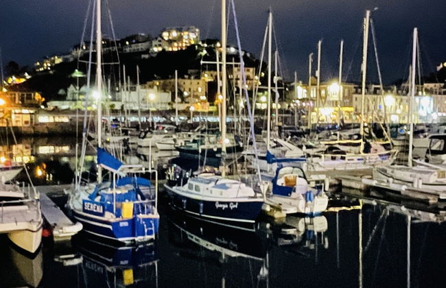 Harbour Breeze in Torquay - Foto 59