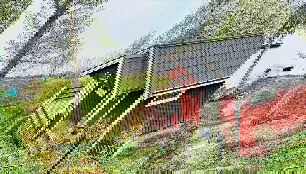 Primary image
