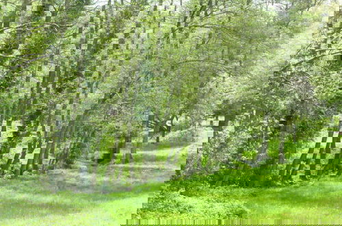Foto 17 - Lindenblatt ' Right