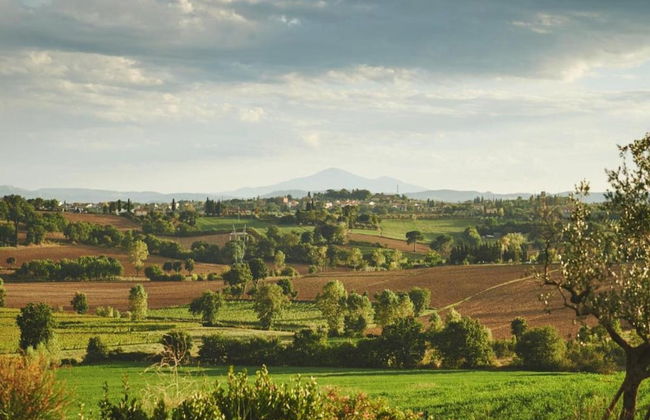 Villa With Panoramic Views - Photo 26