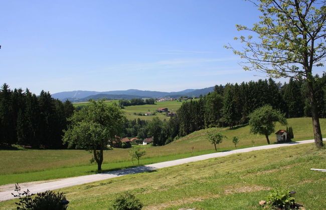 Beautiful Holiday Home in Viechtach With Views - Foto 66