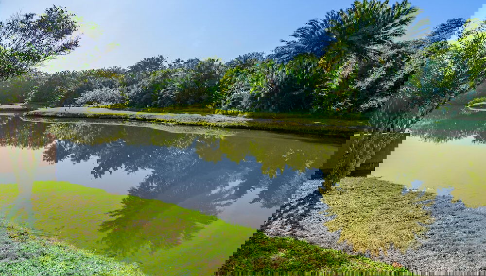 Imagem principal