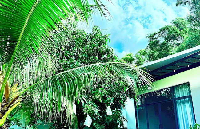 HOMESTAY HALONA - Foto 5
