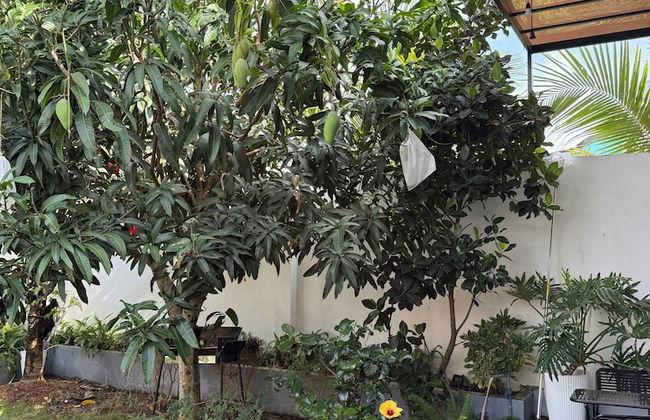 HOMESTAY HALONA - Foto 74