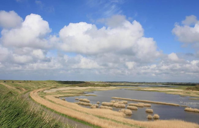 Pet-friendly Escape by the Sea - Foto 36