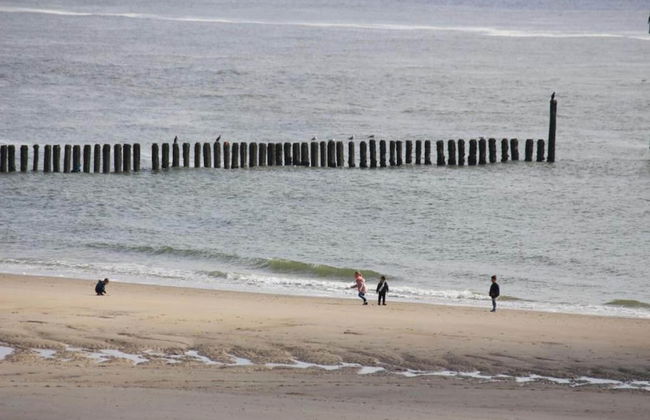 Pet-friendly Escape by the Sea - Foto 29