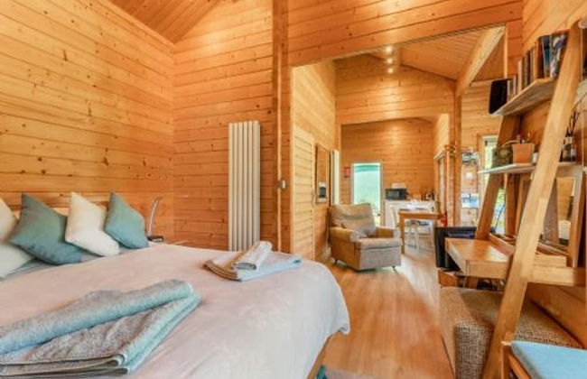 Host Stay Violet Lodge - Foto 11