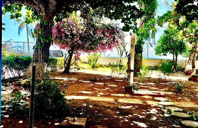 Seafrontapartment-sleeps4-pool-parking-garden - Foto 16