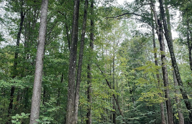 DWELL477 - Photo 10