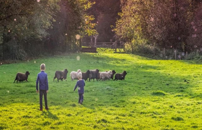 Lovely Farmhouse in Wijlre With Forest Nearby - Foto 69