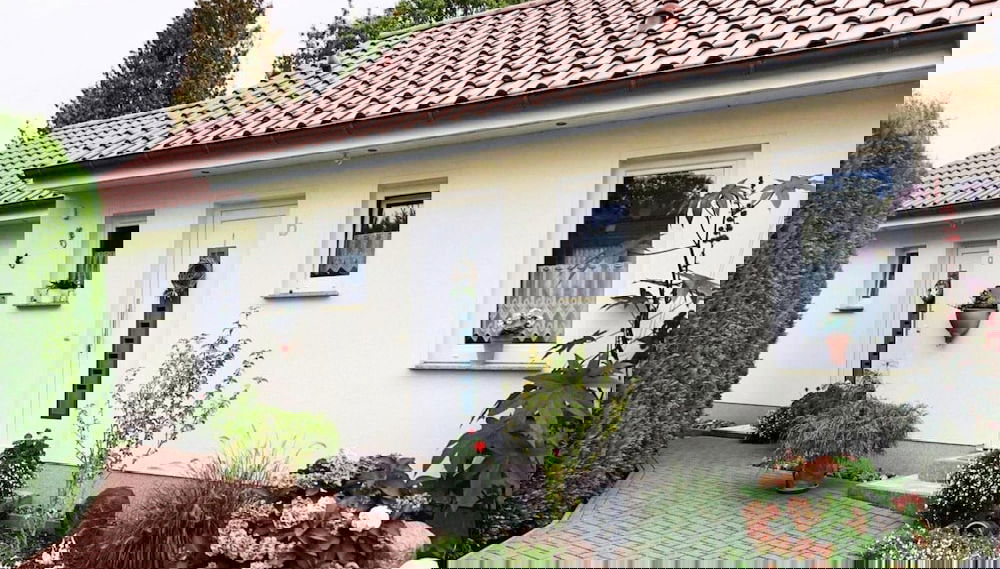 Image principale