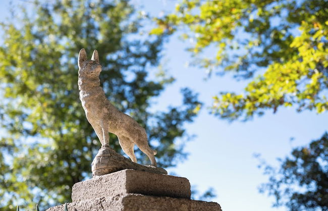 Relais il Ciliegio - Foto 67